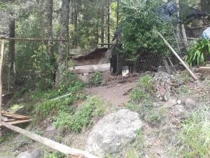 Terreno en venta en Carboneras, Mineral del Chico — foto 2 de 16