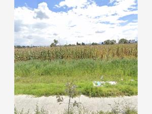 Terreno en venta en San Mateo, Metepec — foto 2 de 3