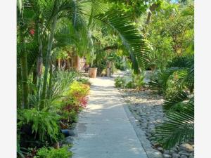 Finca-Rancho en venta en Tecuanillo, Tecomán — foto 2 de 2