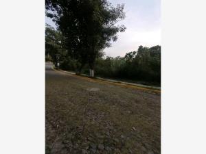 Terreno en venta en Burgos Bugambilias, Temixco — foto 2 de 12