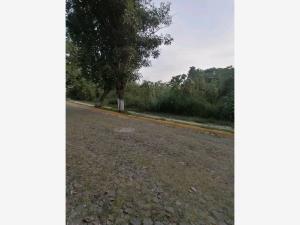 Terreno en venta en Burgos Bugambilias, Temixco — foto 3 de 12