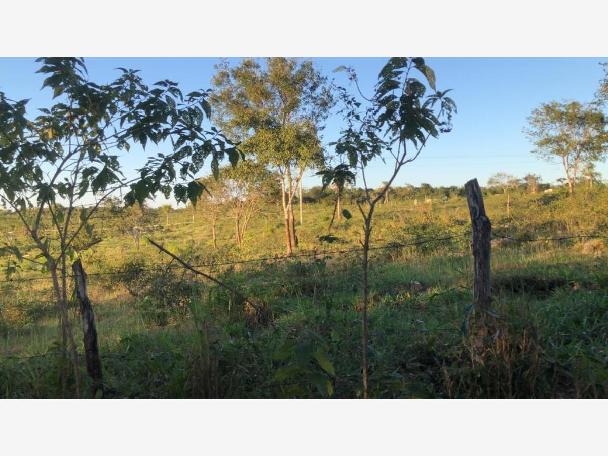 Finca-Rancho en venta en Sucila, Sucilá — foto 1 de 8