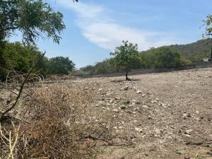 Terreno en venta en Ticumán, Tlaltizapán de Zapata — foto 2 de 7