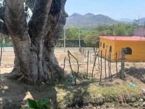 Terreno en venta en Ticumán, Tlaltizapán de Zapata — foto 3 de 7