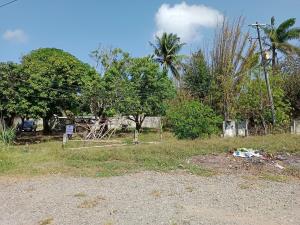 Terreno en venta en Paso del Toro, Medellín de Bravo, Veracruz de Ignacio de la Llave