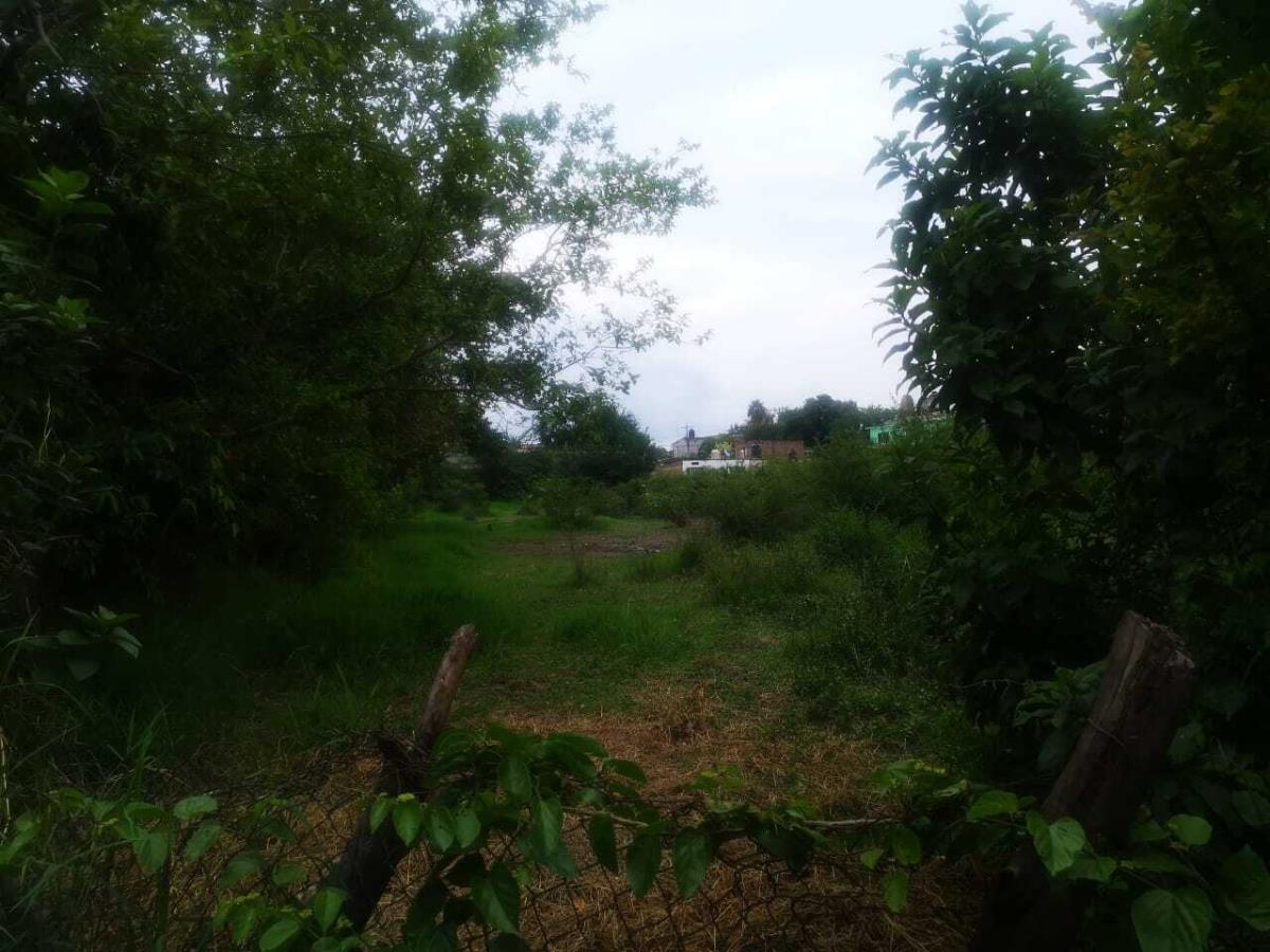 Terreno en venta en Coahuixtla, Amacuzac — foto 1 de 28