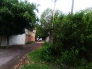 Terreno en venta en Coahuixtla, Amacuzac — foto 3 de 28