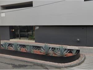 Departamento en venta en Juarez, Cuauhtémoc — foto 3 de 21