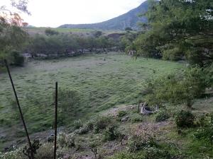 Terreno en venta en Tenango (Santa Ana), Jantetelco — foto 3 de 17