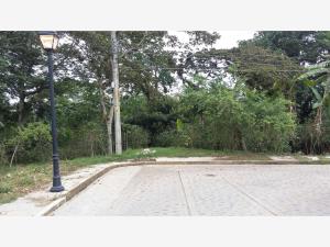 Terreno en venta en Xico, Xico, Veracruz de Ignacio de la Llave