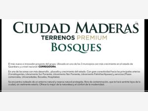 Terreno en venta en Las Taponas, Corregidora — foto 3 de 38