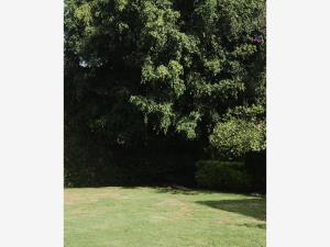 Terreno en venta en Jardines del Pedregal, Álvaro Obregón, Ciudad de México