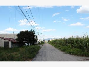 Terreno en venta en San Miguel Totoltepec, Toluca — foto 3 de 6