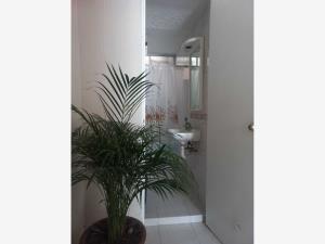 Casa en venta en Cuautitlán Izcalli Centro Urbano, Cuautitlán Izcalli — foto 3 de 24