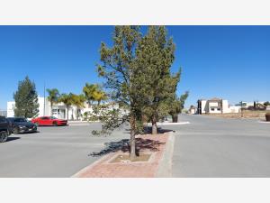 Terreno en venta en Loma Alta, Arteaga — foto 3 de 10