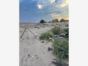 Terreno en venta en San Agustín, Torreón — foto 3 de 3