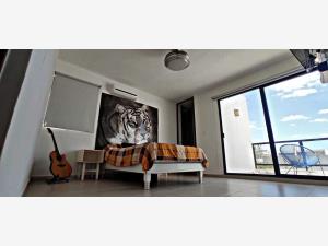 Casa en renta en Conkal, Conkal — foto 2 de 9