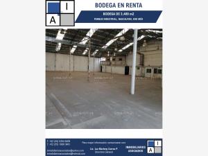 Bodega en renta en San Francisco Cuautlalpan, Naucalpan de Juárez, México Bodega en renta en San Francisco Cuautlalpan, Naucalpan de Juárez, México