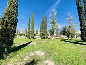 Terreno en venta en Residencial el Fresno, Torreón — foto 2 de 6