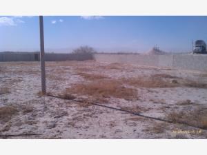 Terreno en venta en La Concha, Torreón — foto 3 de 9