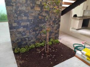 Casa en venta en Bosque Monarca, Morelia — foto 2 de 17