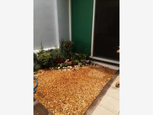 Casa en venta en Cuautlixco, Cuautla — foto 3 de 20