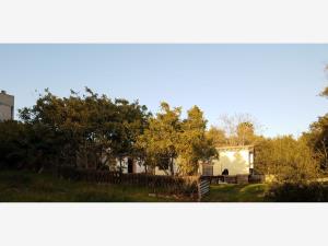 Terreno en venta en Carlos Pacheco (Ayuntamiento), Ensenada — foto 2 de 17
