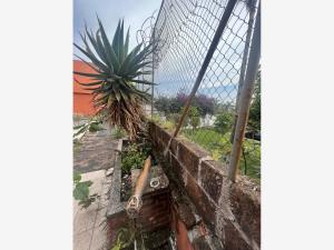 Terreno en venta en Vista Hermosa, Cuernavaca — foto 3 de 8