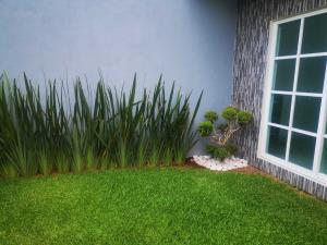 Casa en venta en Tepeyac, Cuautla — foto 3 de 25