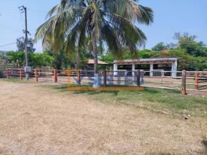 Terreno en venta en Pital Mozutla, Papantla — foto 3 de 8