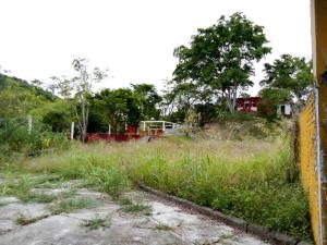 Terreno en venta en Ojital Viejo, Papantla — foto 3 de 9