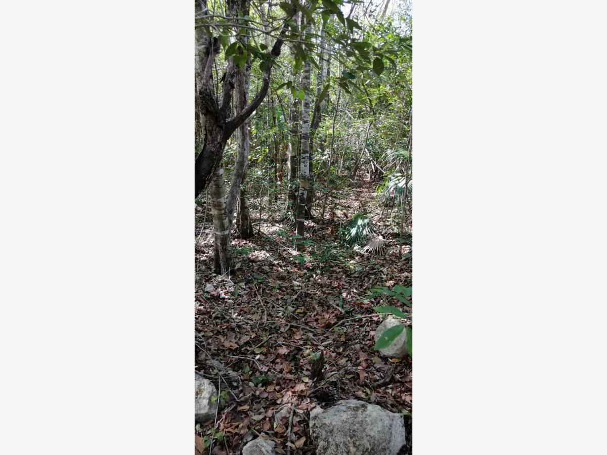Terreno en venta en Tulum Centro, Tulum — foto 1 de 10