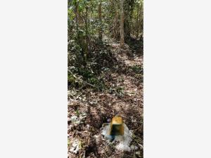 Terreno en venta en Tulum Centro, Tulum — foto 2 de 10