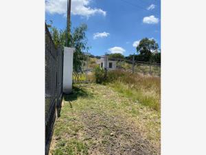 Terreno en renta en Segundo Barrio de Dolores, El Marqués — foto 2 de 11