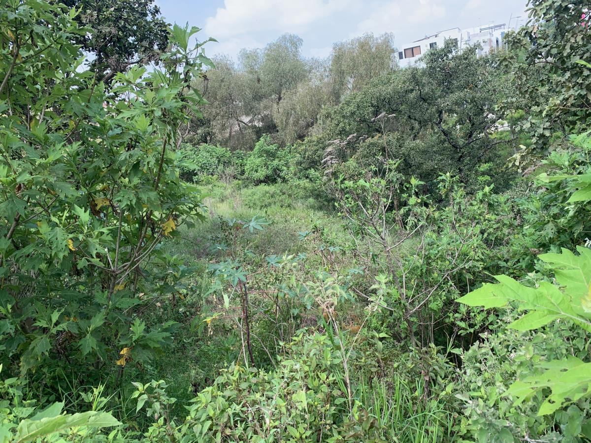 Terreno en venta en Valle Imperial, Zapopan — foto 1 de 13
