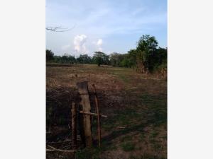 Terreno en venta en El Apachital, Jamapa — foto 2 de 3