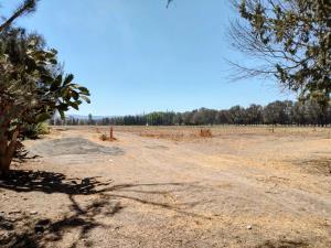 Terreno en venta en Arroyo Hondo, Corregidora — foto 3 de 9