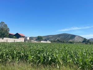 Terreno en venta en Carlos Real (San Carlos), Lerdo — foto 2 de 2