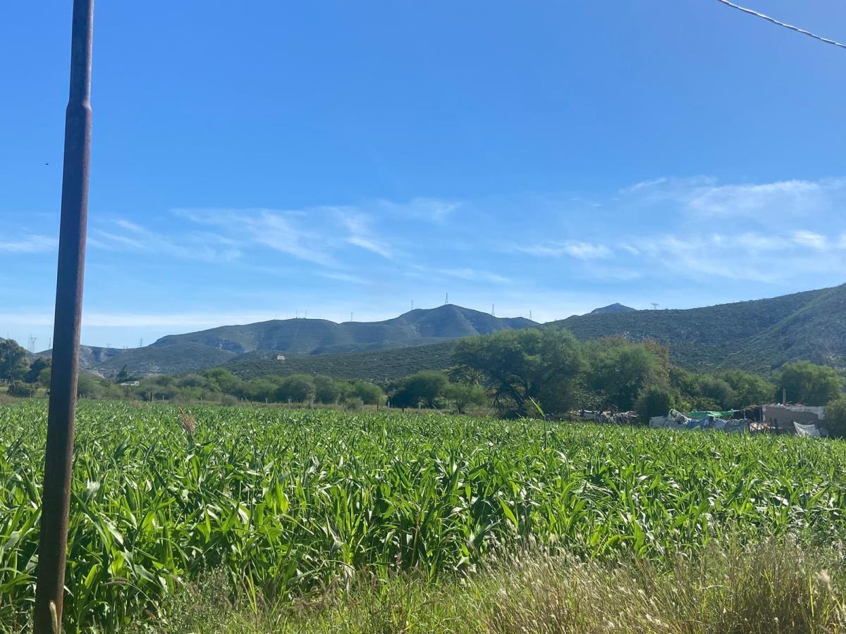 Terreno en Venta en Carlos Real (San Carlos), Lerdo, Durango