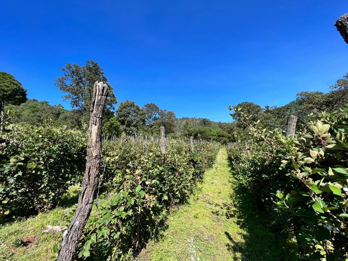 Terreno en venta en Mil Cumbres, Morelia — foto 1 de 17