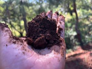 Terreno en venta en Mil Cumbres, Morelia — foto 3 de 17