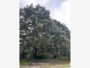 Terreno en venta en El Palomar, Tlajomulco de Zúñiga — foto 2 de 7