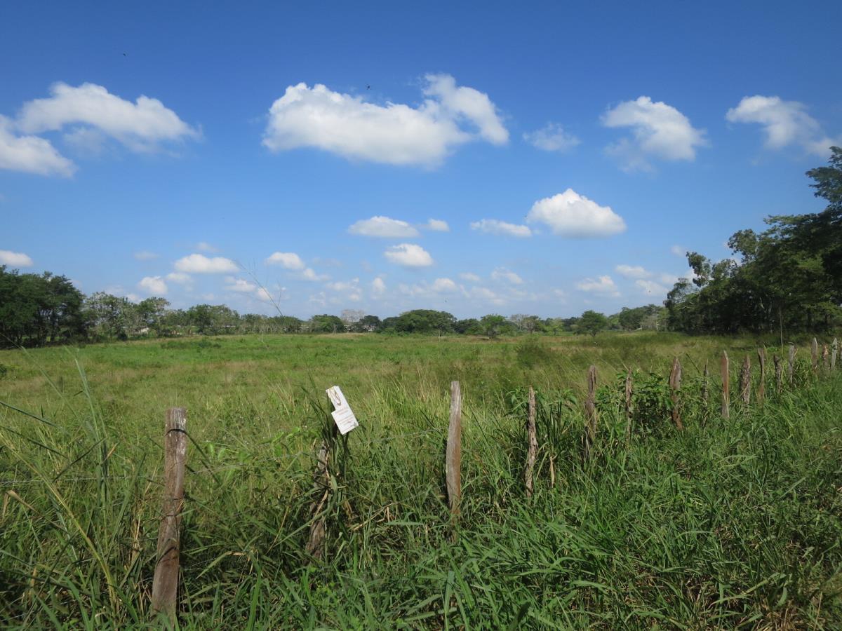Terreno en venta en El Country, Centro — foto 1 de 14