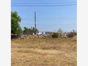 Terreno en venta en El Arenal de Abajo, San José Iturbide — foto 3 de 6