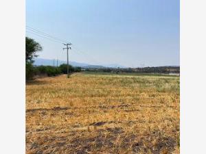 Terreno en venta en El Arenal de Abajo, San José Iturbide — foto 2 de 6