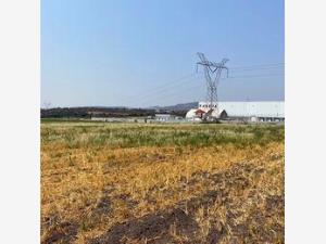 Terreno en venta en El Arenal de Abajo, San José Iturbide, Guanajuato