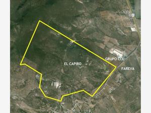 Terreno en venta en El Mastranto, San José Iturbide, Guanajuato