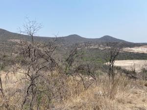 Terreno en venta en El Mastranto, San José Iturbide — foto 2 de 8
