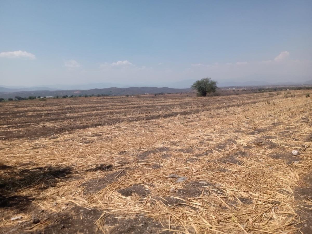 Terreno en venta en Tequesquitengo, Jojutla — foto 1 de 4