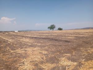 Terreno en venta en Tequesquitengo, Jojutla — foto 2 de 4